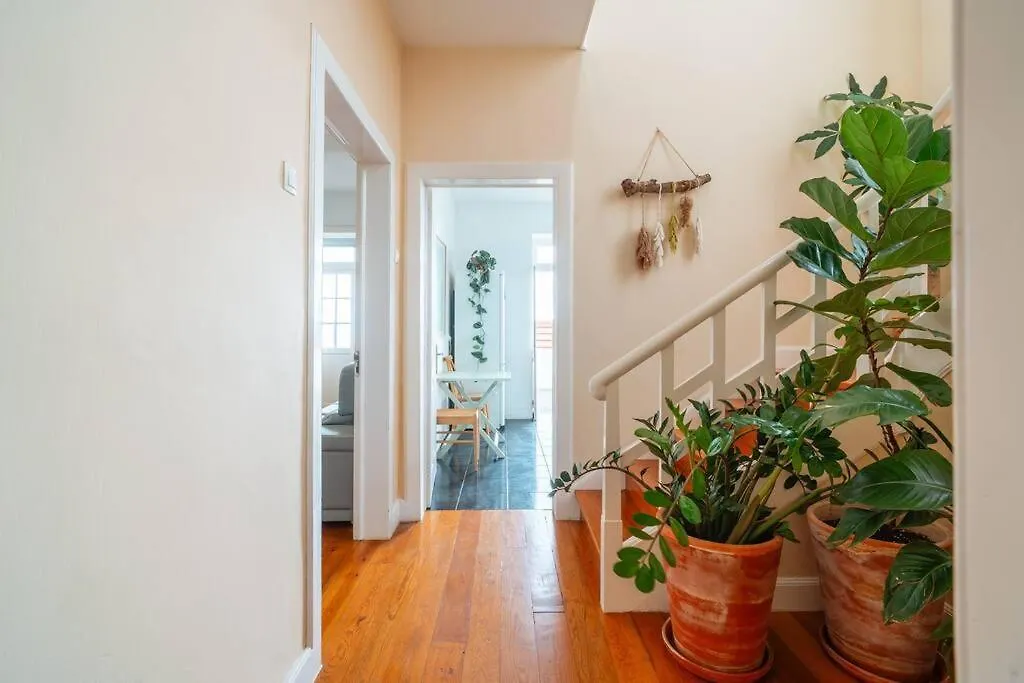 Villa Oasis Sea View - 3 Bedrooms Funchal  Portugal