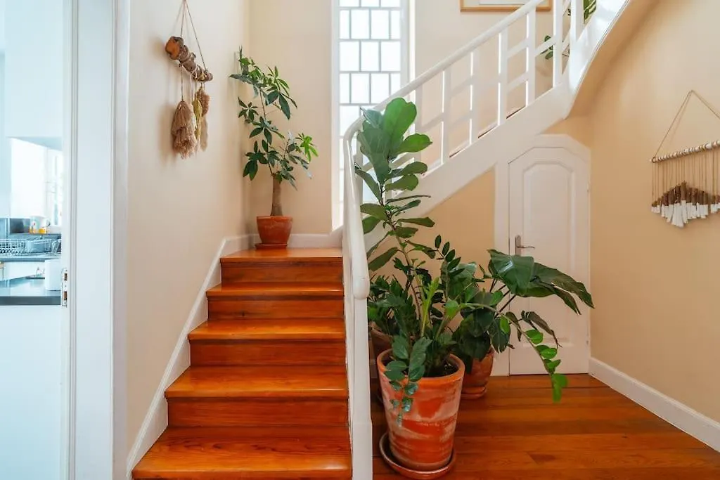 Villa Oasis Sea View - 3 Bedrooms Funchal